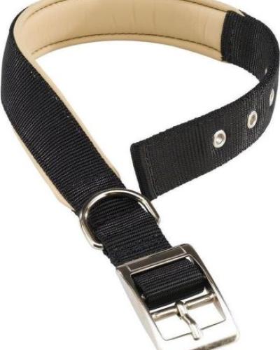 watch-image