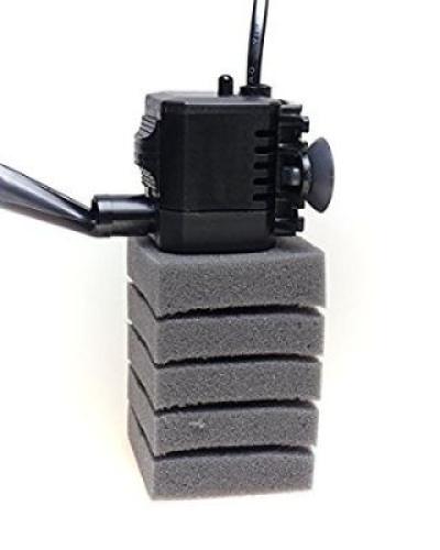 watch-image