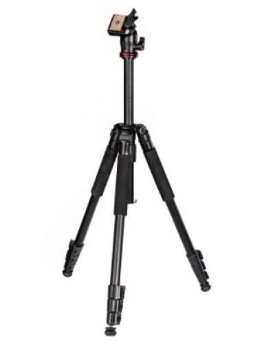 watch-image