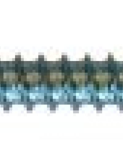 watch-image