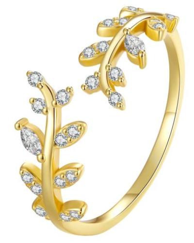watch-image