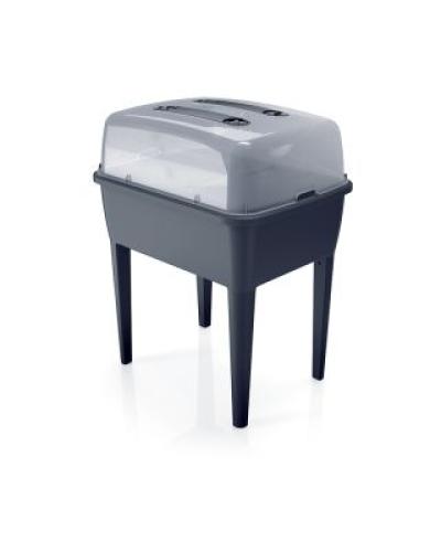 watch-image