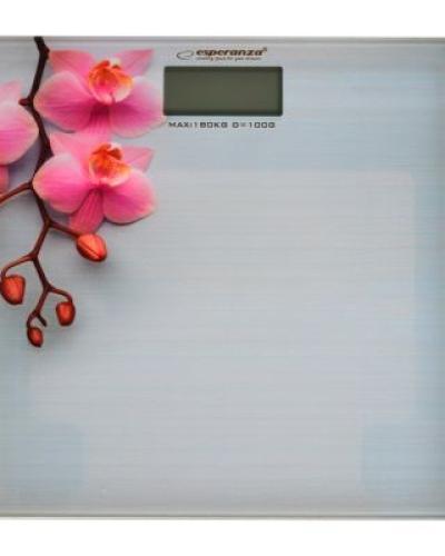 watch-image