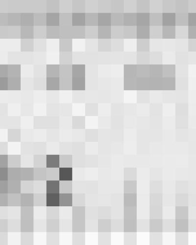 watch-image