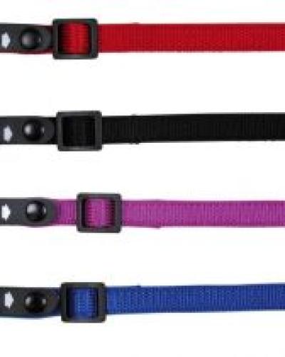 watch-image