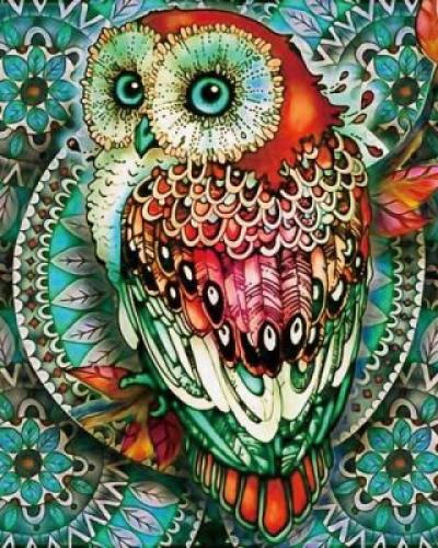 watch-image