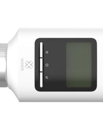 watch-image