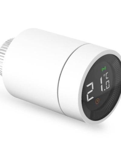 watch-image
