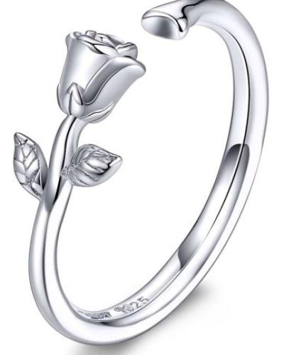 watch-image