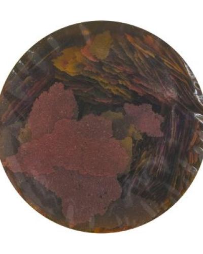 watch-image