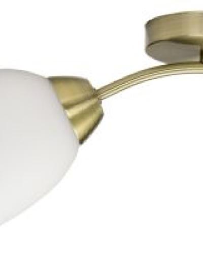 watch-image