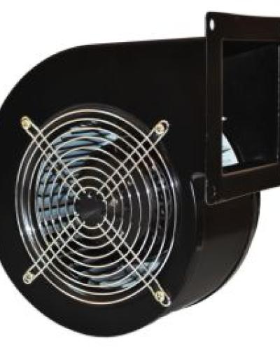 watch-image