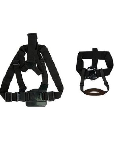 watch-image