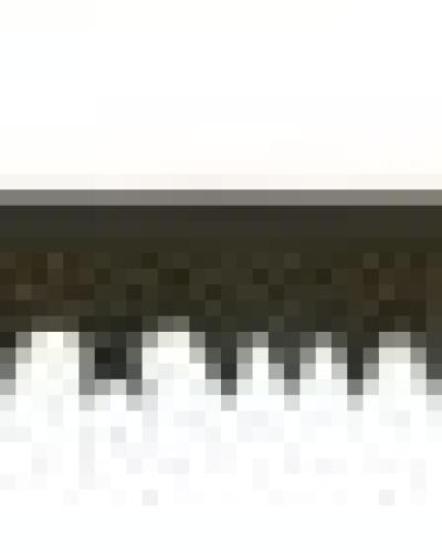 watch-image