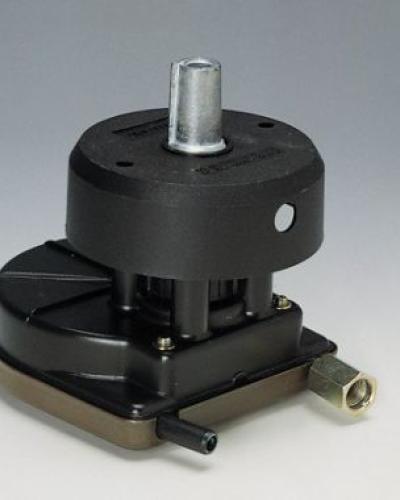 watch-image