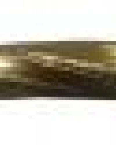 watch-image