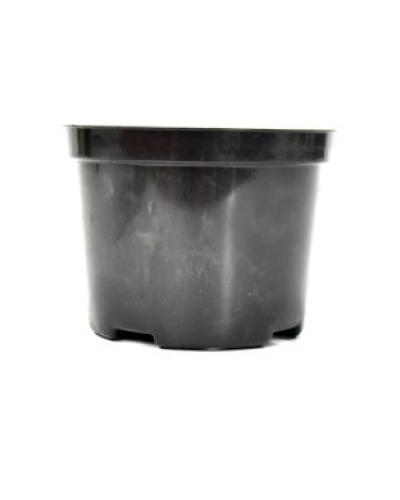 watch-image