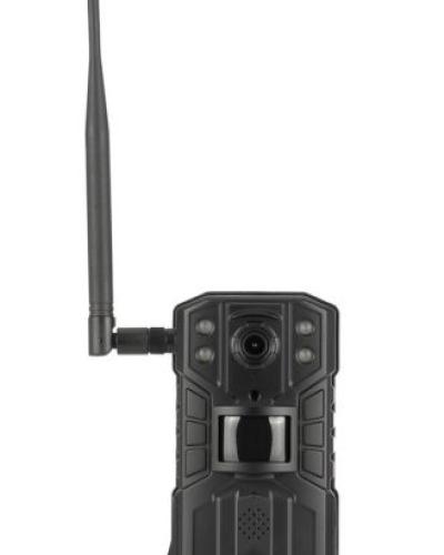 watch-image
