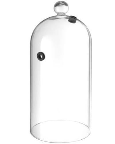 watch-image