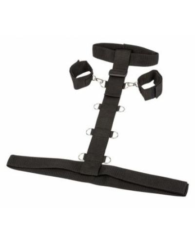 watch-image