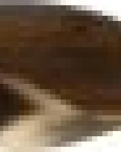 watch-image