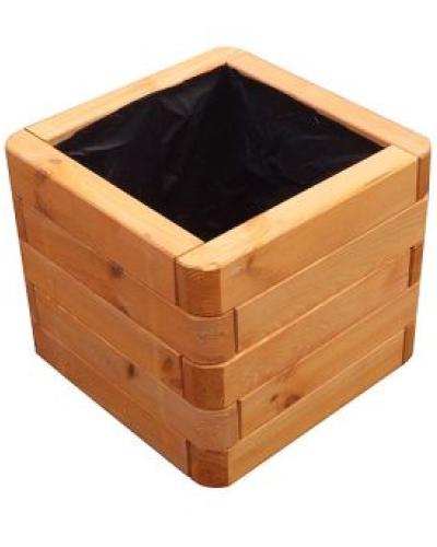 watch-image