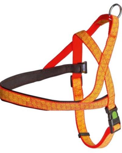 watch-image