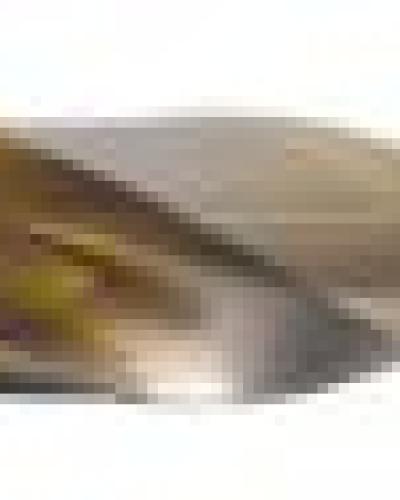watch-image