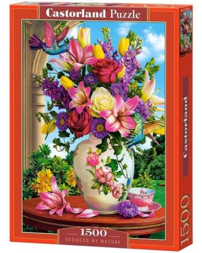watch-image