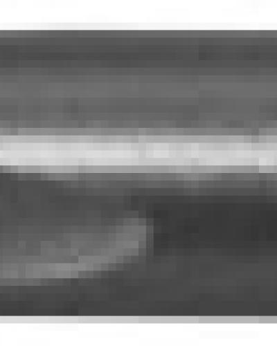 watch-image