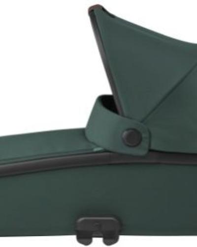 watch-image