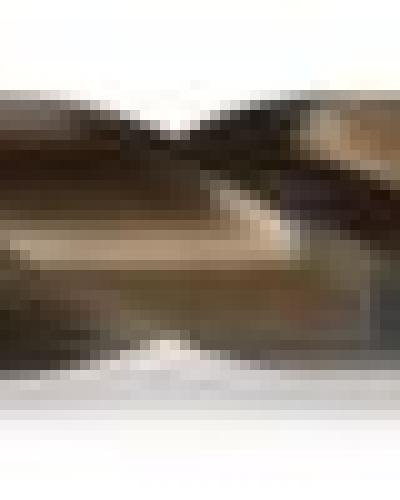 watch-image