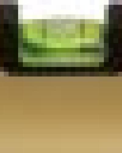 watch-image