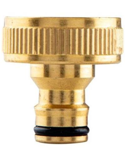 watch-image