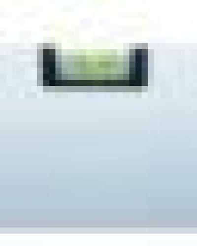 watch-image