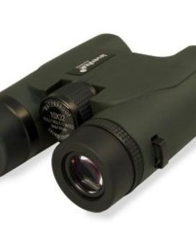 watch-image