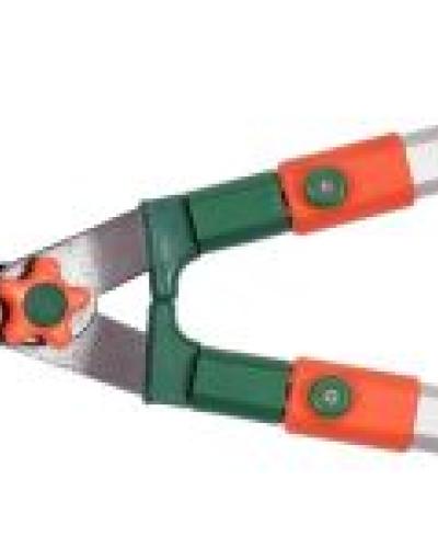 watch-image