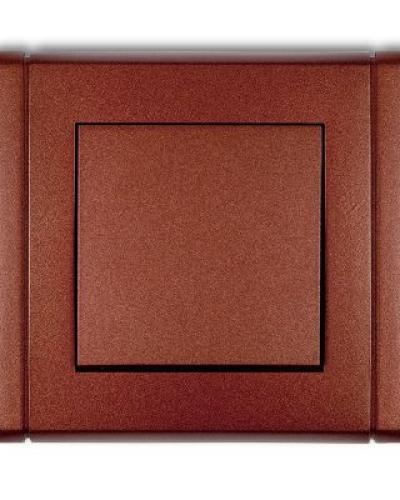 watch-image